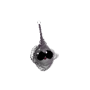 FoodNips