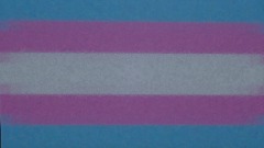 A screenshot taken in Dreams. 2 of 3.