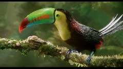 A screenshot taken in Dreams. 1 of 13.