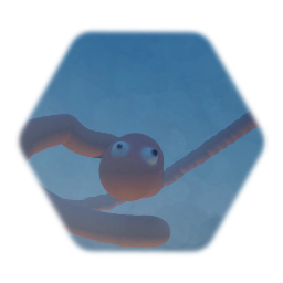 WORM