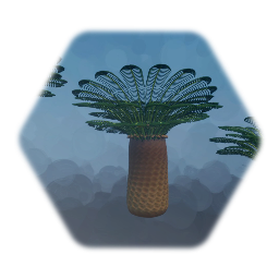 Cycad (Tree Fern) Pack