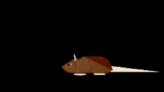 Horizontaly Spinning rat