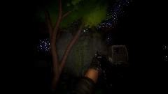 Forest survival