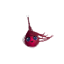 alakazamber