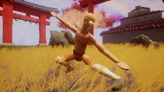 Shaolin Kung Fu: Wu Bu Quan