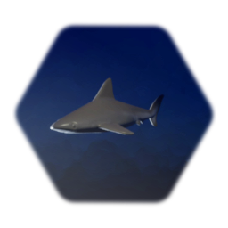 Sandbar Shark Sculpture