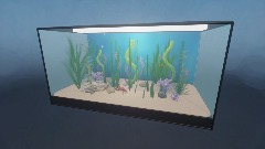 Aquarium Scene