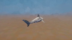 Shark sim