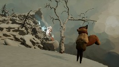 Lil Fox's Quest
