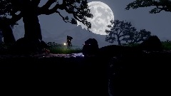 Mr Shadow Forest