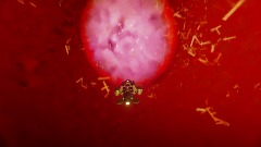 A screenshot taken in Dreams. 7 of 8.