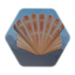 Seashell