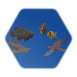 Random Fish Collection 3