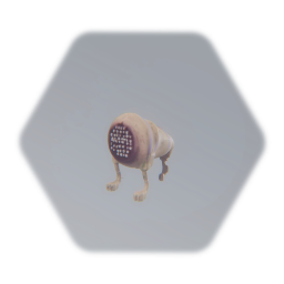 Hλlf-Life: Houndeye