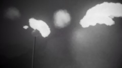 Queer Futurity - Seapark Yards