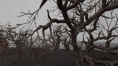 Silent Hill 2 - in water DLC - alpha