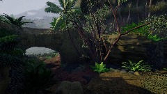 Jungle : heart of the jungle