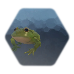Frog 2.29.20