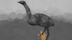 Emu Skateboarding | DHM