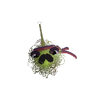 alvingoaudio