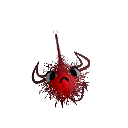 Dweezilkid