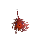 lincicus
