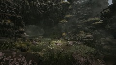 Birds, Blossoms & Beauty