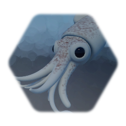 Squid