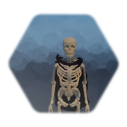 Skully the bone mage