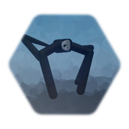 Aranea Membri Spider legs