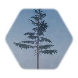 1 % Thermo Douglas Fir Tree