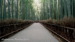 A screenshot taken in Dreams. 13 of 25.