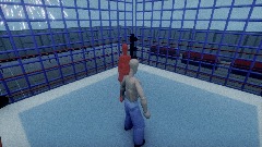 Endless Wrestling Puncher WIP (First Dream)