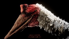 QUETZALCOATLUS NORTHROPI - HEAD RENDER