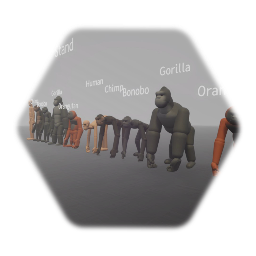 Ape chart