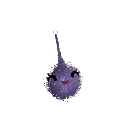 PurpleTetra