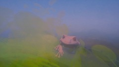 A screenshot taken in Dreams. 3 of 5.