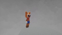 Results & Rank Idea for RORGDX