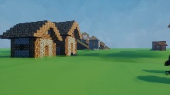 WS