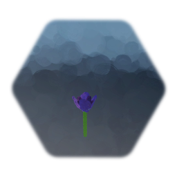 Purple Tulip
