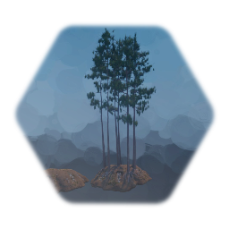 Loblolly Pine Cluster