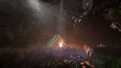 DARK FOREST