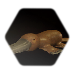 Platypus