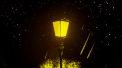 Starry Lamp