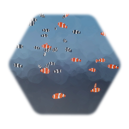 School of Clownfish