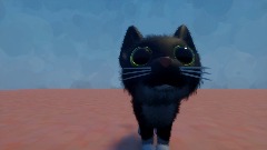 Cool cat game