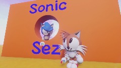 Sonic Sez - "That's no good!" - Animation