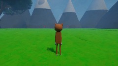 Cat's Visit To The Field