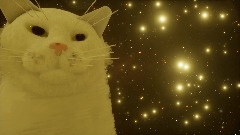 Cat vibing in space