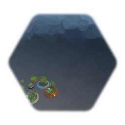 Succulent plants aloe & potted bonsai